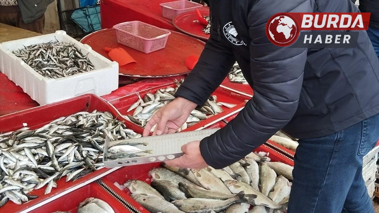 Beyşehir'de avlananlar balık boy limitlerine uymazsa cezalandırılacak!