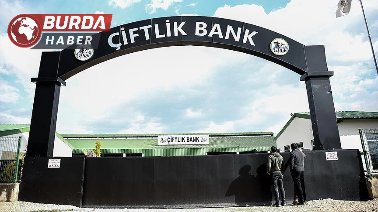 Çiftlik Bank Davası'nda sanıklar için tutukluluk kararı devam ediyor.