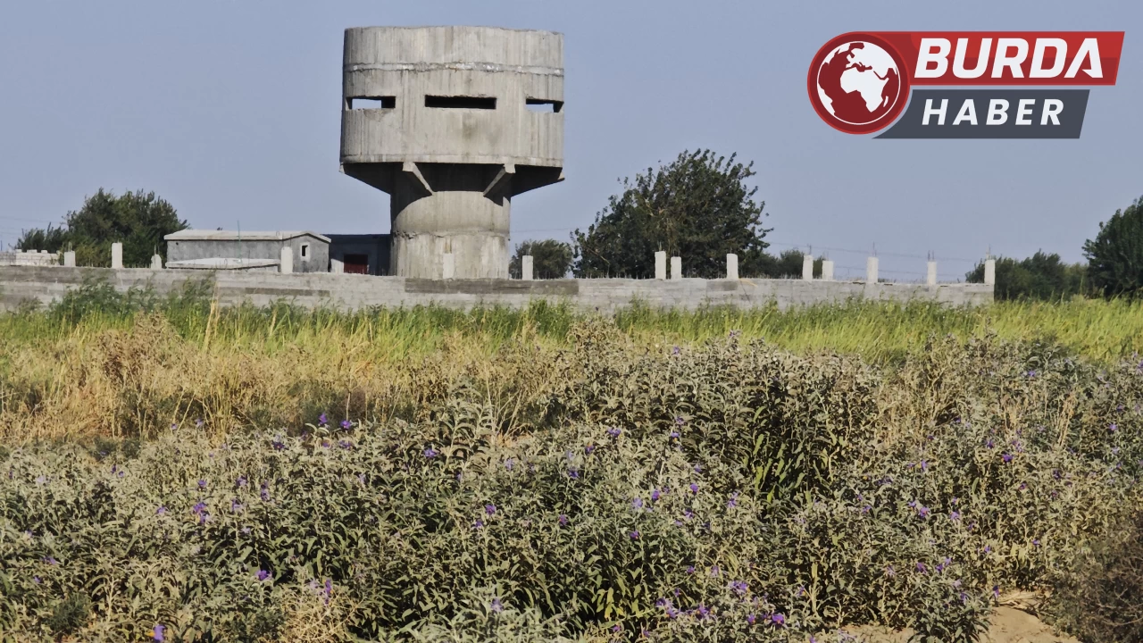 PKK/YPG, ABD'nin Yardımıyla Gözetleme Kuleleri İnşa Ediyor!