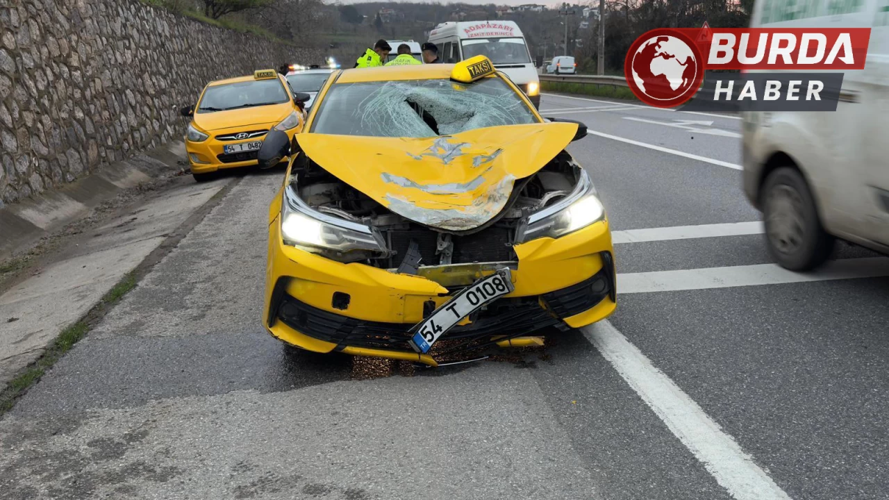 Sakarya'da ticari taksinin çarptığı kadın hayatını kaybetti.