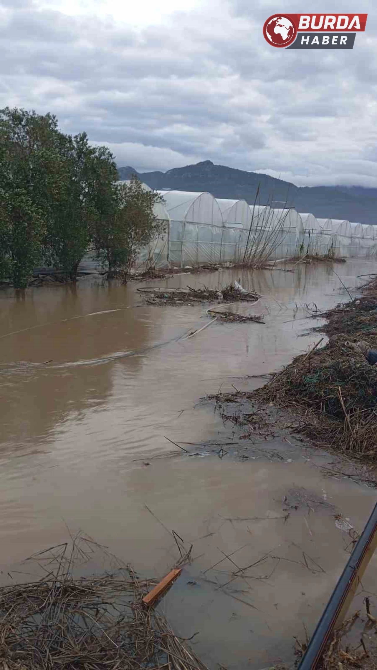 Antalya’da ev ve seraları su bastı,dağdan gelen kayalar yolu kapattı.