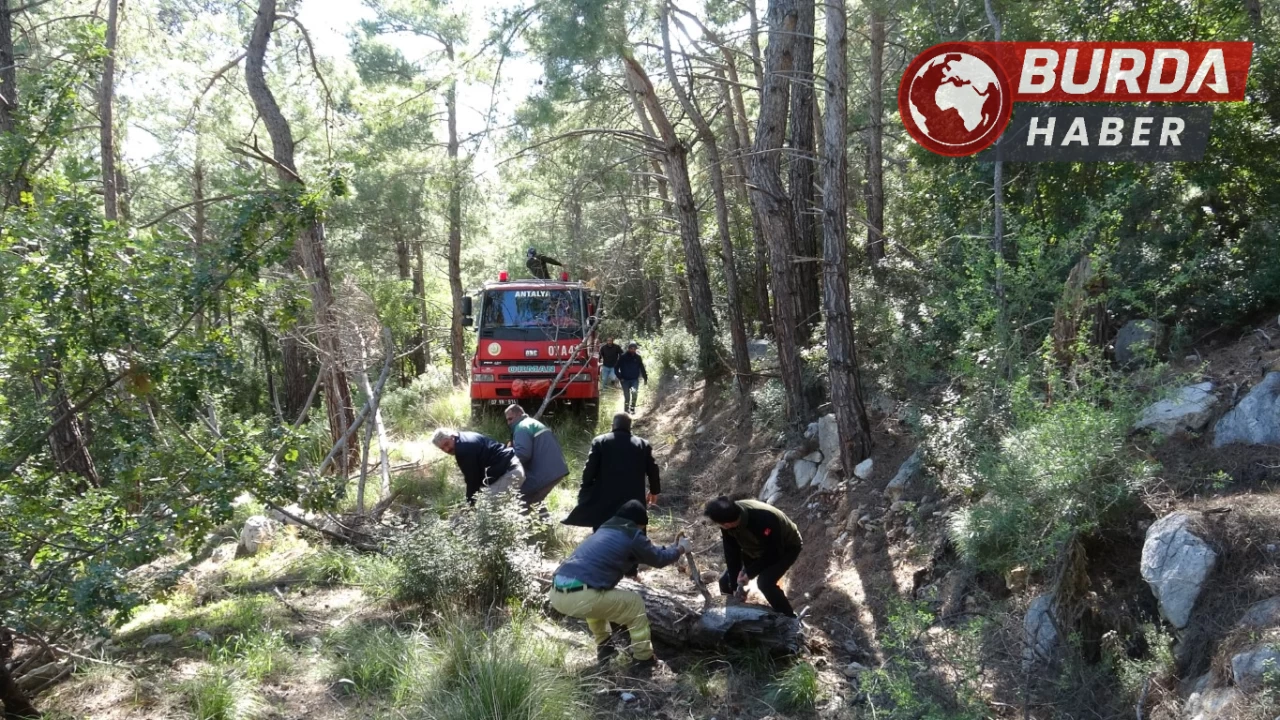 Antalya’da kopan yüksek gerilim hattı orman yangınına sebep oldu.