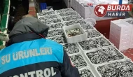 Kırklareli'ndeki Balıkçılara Hamsi Kota Kontrolü Yapıldı!