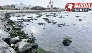 Hatay'ın İskenderun Körfezi’nde denizde çekilme yaşandı.