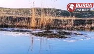 Bitlis'te yer altından fışkıran toprak görenleri hayrete düşürdü.