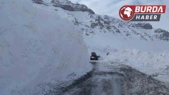 Van-Bahçesaray yoluna düşen çığ bölgeleri temizleniyor.