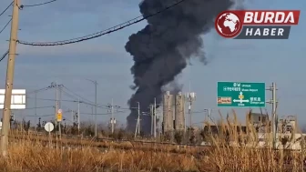 Güney Kore’de yolcu uçağı iniş sırasında duvara çarptı: 177 kişi öldü!