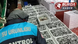 Kırklareli'ndeki Balıkçılara Hamsi Kota Kontrolü Yapıldı!