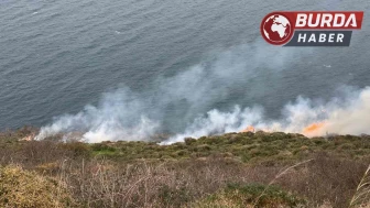 Sinop’ta çıkan örtü yangınında yaklaşık 20 dönüm alan zarar gördü.