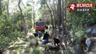 Antalya’da kopan yüksek gerilim hattı orman yangınına sebep oldu.