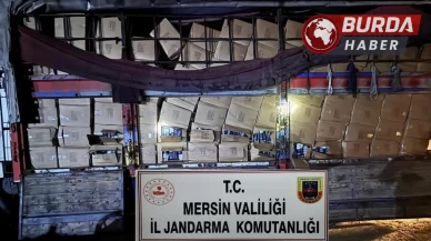 Mersin'de Jandarma Tarafından 5 Ton Kaçak Tütün Yakalandı.