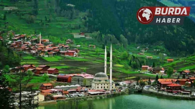 Bakanlık Uzungöldeki kaçak yapılarla ilgili çalışmaları hızlandırıyor.