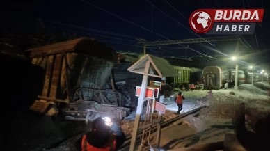 Rusya'da Yolcu Treni ile Yük Treni Çarpıştı: 14 Kişi Yaralandı.