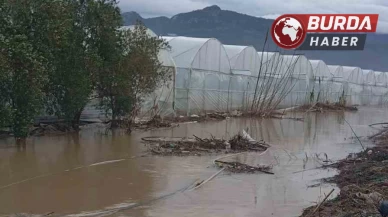 Antalya’da ev ve seraları su bastı,dağdan gelen kayalar yolu kapattı.