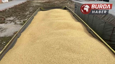 Bekçilik yaptığı iş yerinden yaklaşık 250 ton arpa çaldı.