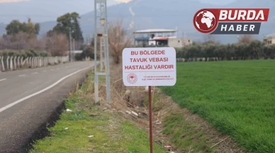 Hatay'da kuş vebası görülen mahallede 338 kanatlı hayvan itilaf edildi