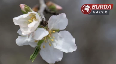 Baharın müjdecisi olarak bilinen ’cemre’ yarın havaya düşecek.