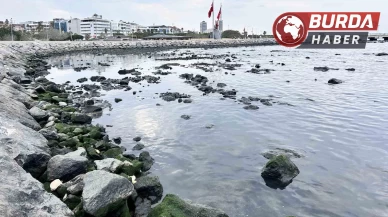 Hatay'ın İskenderun Körfezi’nde denizde çekilme yaşandı.