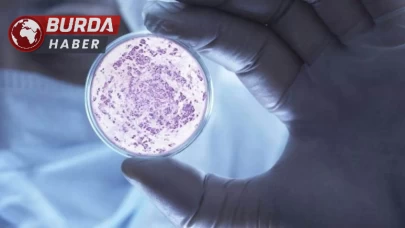 Antibiyotiklere Karşı Dayanıklı Yeni Süper Bakteri Tehlike Saçıyor!