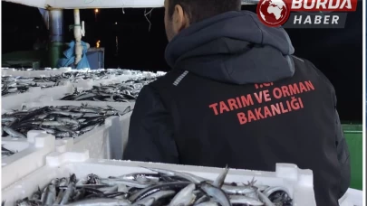 Sinop'ta yasa dışı avlanan 10 ton hamsi balığına el konuldu.