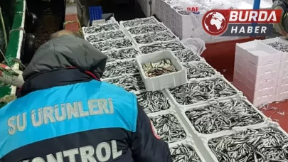 Kırklareli'ndeki Balıkçılara Hamsi Kota Kontrolü Yapıldı!