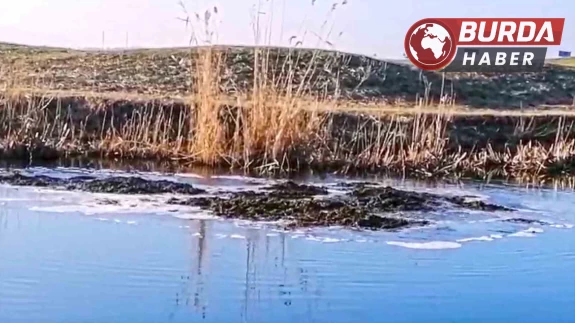 Bitlis'te yer altından fışkıran toprak görenleri hayrete düşürdü.