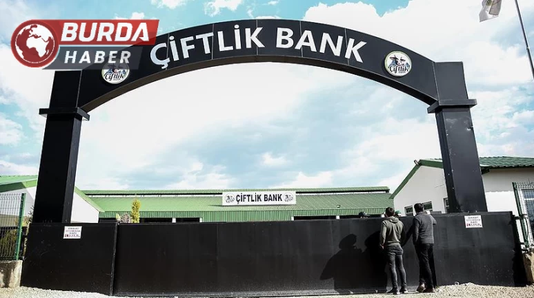 Çiftlik Bank Davası'nda sanıklar için tutukluluk kararı devam ediyor.