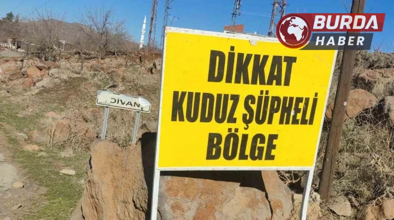 Siverek’te köpek saldırısında 3 kişi yaralandı,köy karantinaya alındı.