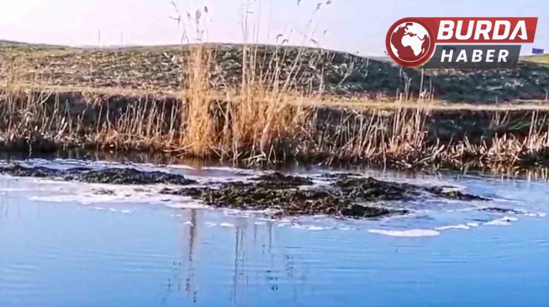 Bitlis'te yer altından fışkıran toprak görenleri hayrete düşürdü.