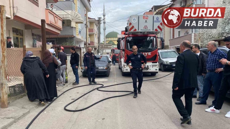 Kocaeli’nin Körfez ilçesinde akvaryum yangın çıkardı.